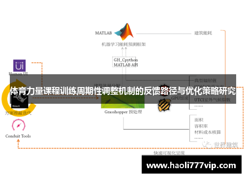 体育力量课程训练周期性调整机制的反馈路径与优化策略研究