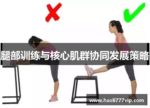 腿部训练与核心肌群协同发展策略